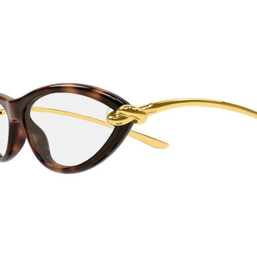 Bottega Veneta BV 1390S 008 56