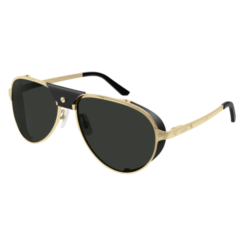 Cartier CT0296S 001 61