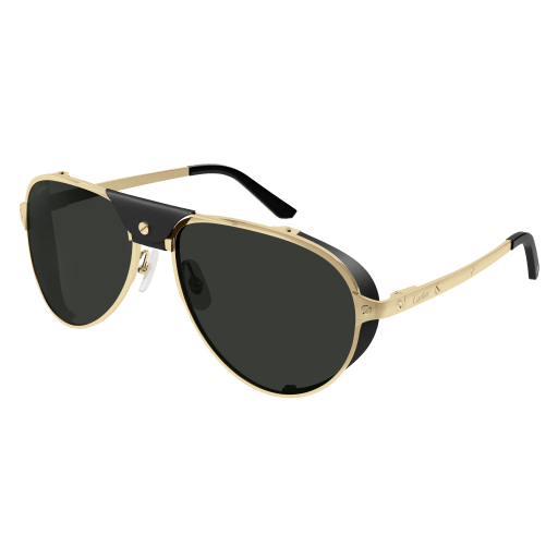 Cartier CT0296S 001 61