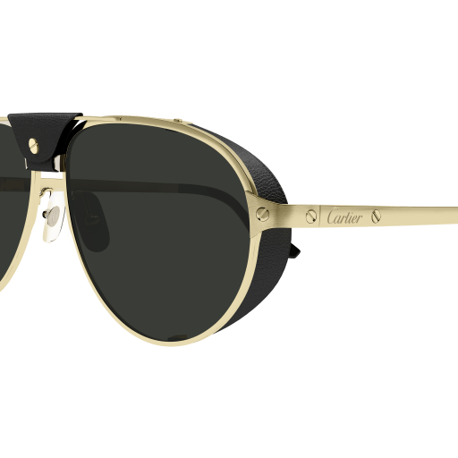 Cartier CT0296S 001 61