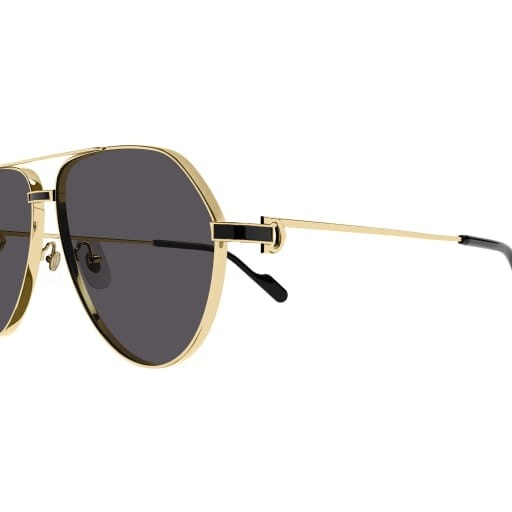 Cartier CT0334S 001 61