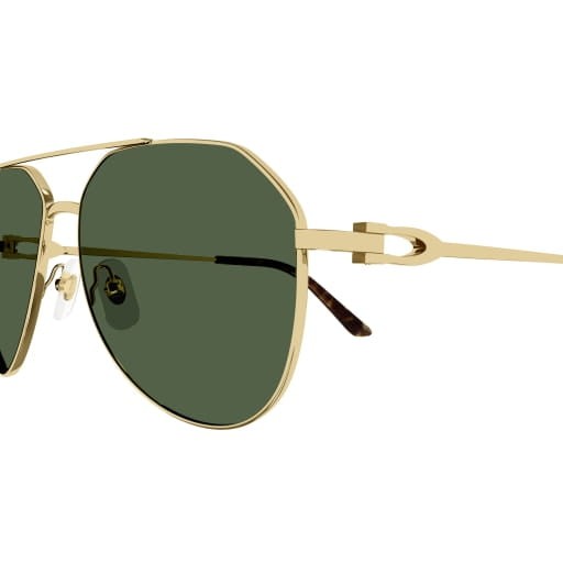 Cartier CT0364S 002 59