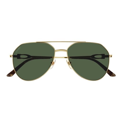 Cartier CT0364S 002 59