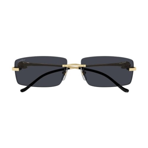 Cartier CT0430S 001 58