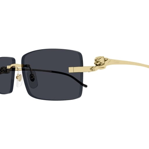 Cartier CT0430S 001 58