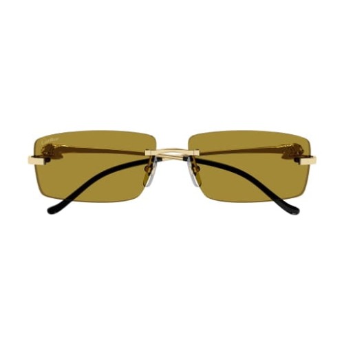 Cartier CT0430S 003 58