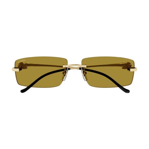 Cartier CT0430S 003 58