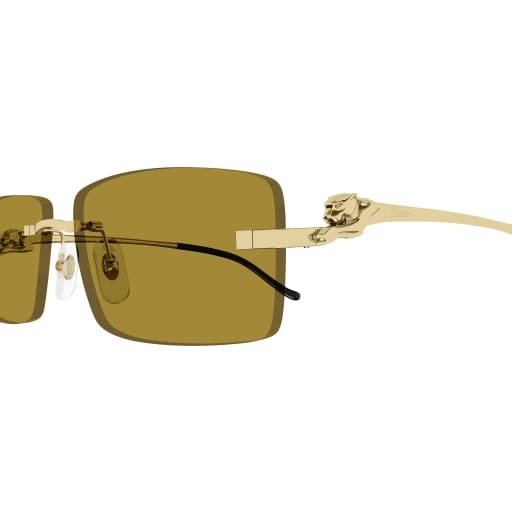 Cartier CT0430S 003 58