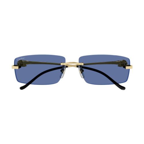 Cartier CT0430S 004 58