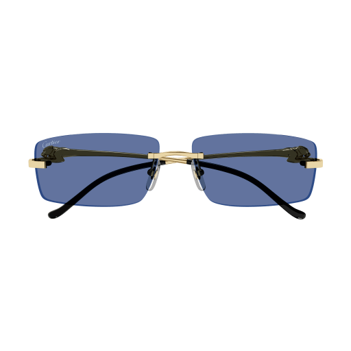 Cartier CT0430S 004 58