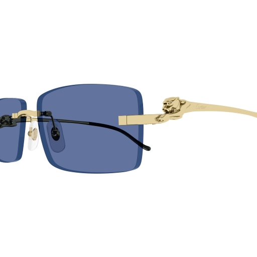 Cartier CT0430S 004 58