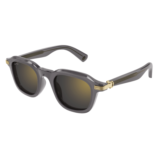 Cartier CT0536S 003 49