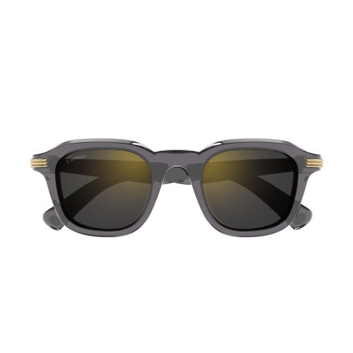Cartier CT0536S 003 49