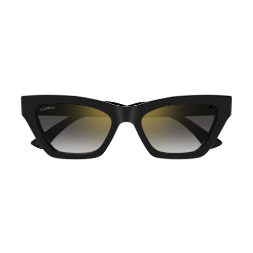 Cartier CT0437S 001 53