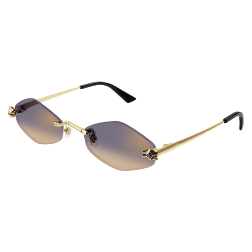 Cartier CT0433S 005 55