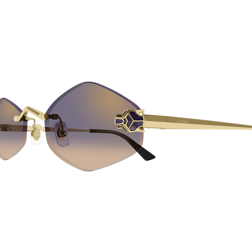 Cartier CT0433S 005 55