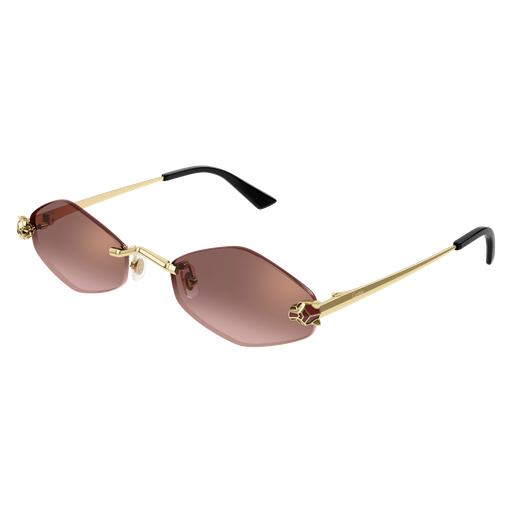 Cartier CT0433S 006 55