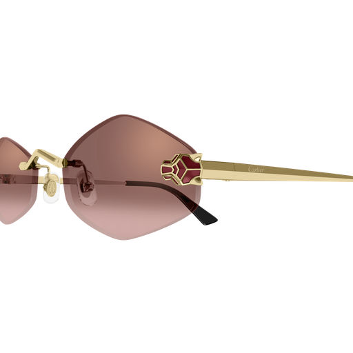 Cartier CT0433S 006 55