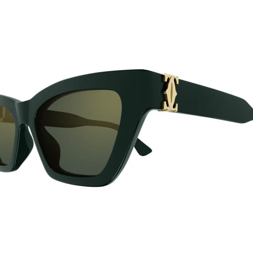 Cartier CT0437S 003 53