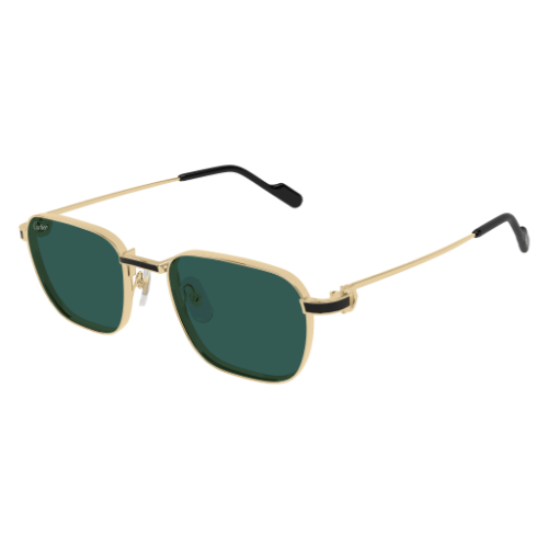 Cartier CT0497S 008 54