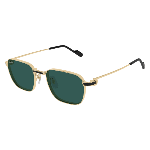 Cartier CT0497S 008 54