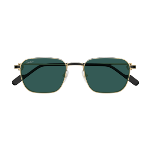 Cartier CT0497S 008 54