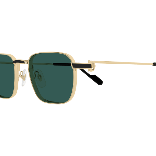 Cartier CT0497S 008 54