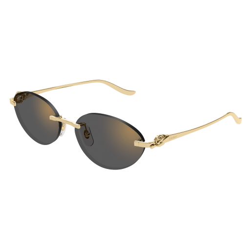 Cartier CT0504S 001 58