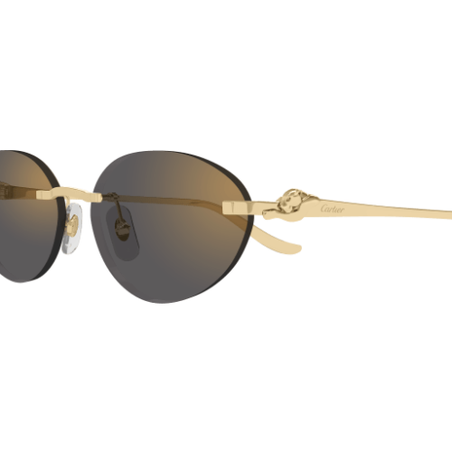 Cartier CT0504S 001 58