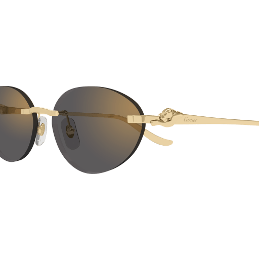 Cartier CT0504S 001 58