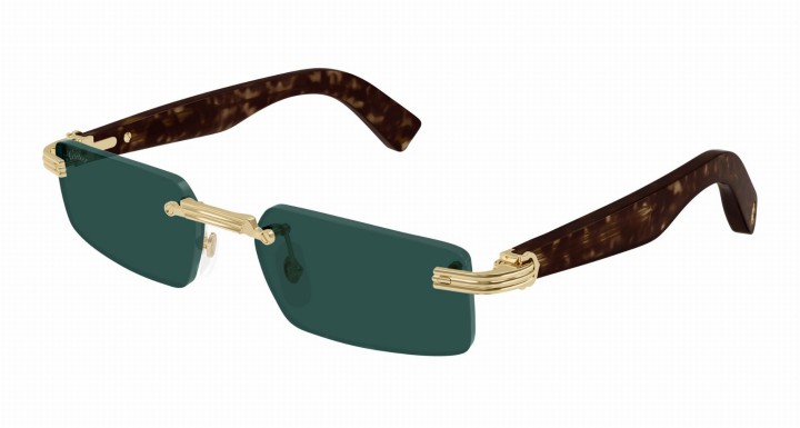 Cartier CT0537S 002 55