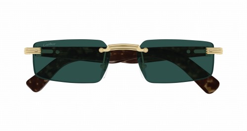 Cartier CT0537S 002 55