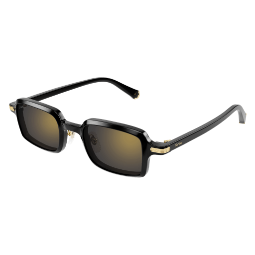 Cartier CT0539S 001 49