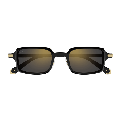 Cartier CT0539S 001 49