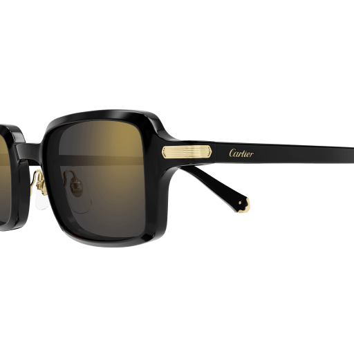 Cartier CT0539S 001 49