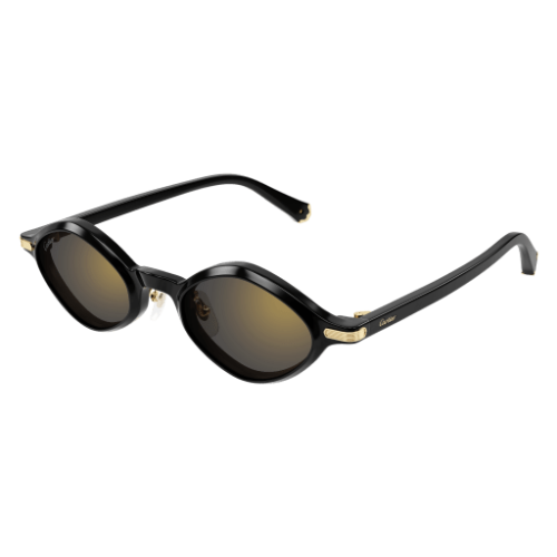 Cartier CT0540S 001 48