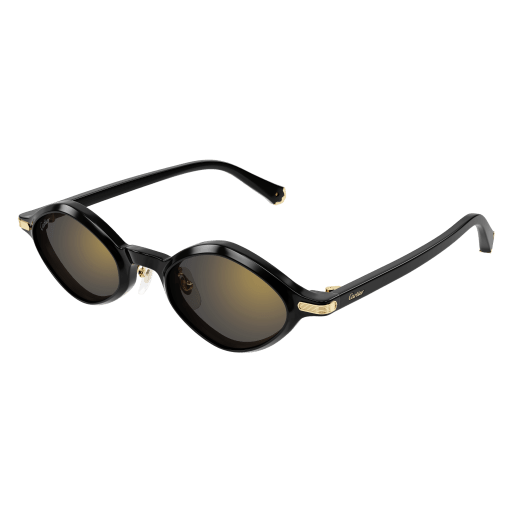 Cartier CT0540S 001 48