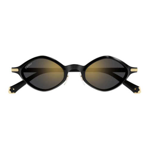 Cartier CT0540S 001 48