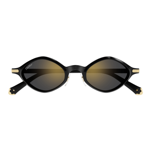 Cartier CT0540S 001 48