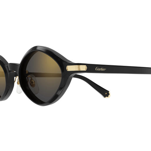 Cartier CT0540S 001 48