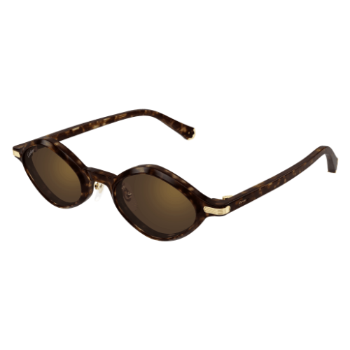 Cartier CT0540S 002 48