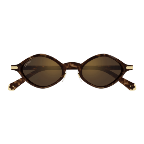 Cartier CT0540S 002 48