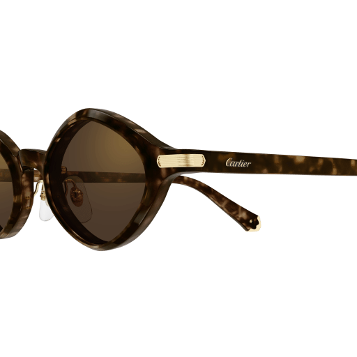 Cartier CT0540S 002 48