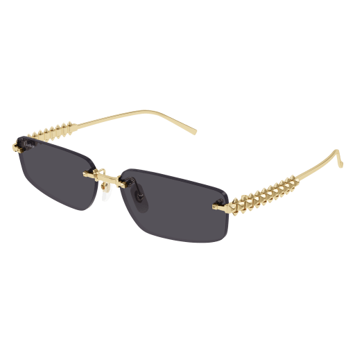 Cartier CT0544S 002 58