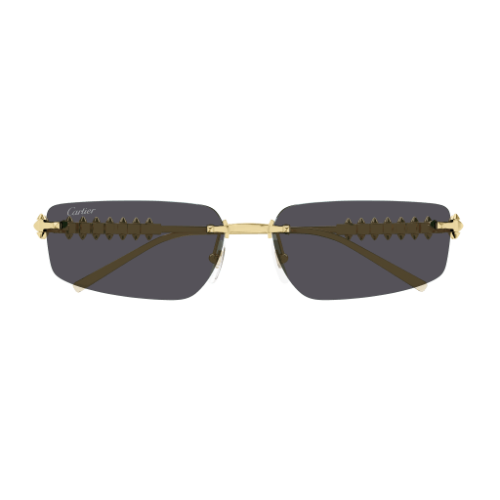 Cartier CT0544S 002 58