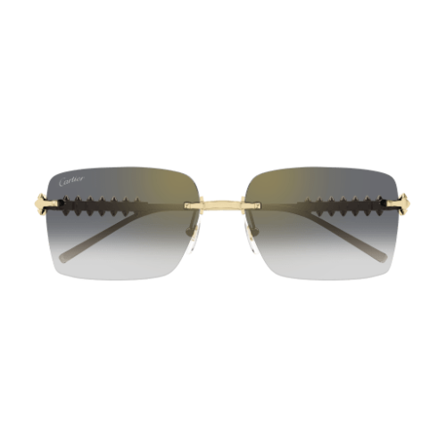 Cartier CT0545S 001 58