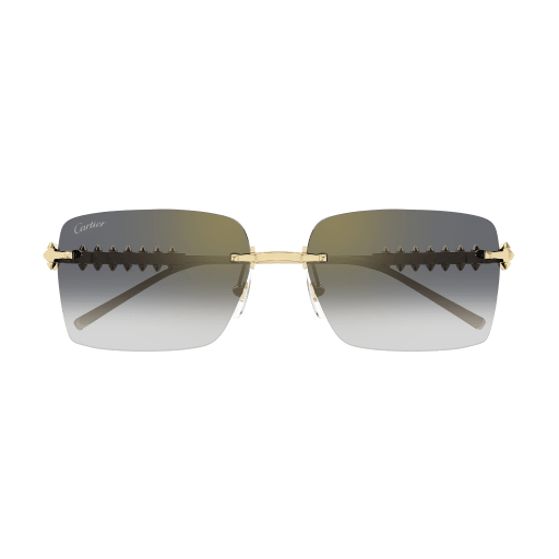 Cartier CT0545S 001 58