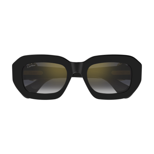 Cartier CT0546S 001 52