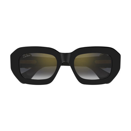 Cartier CT0546S 001 52