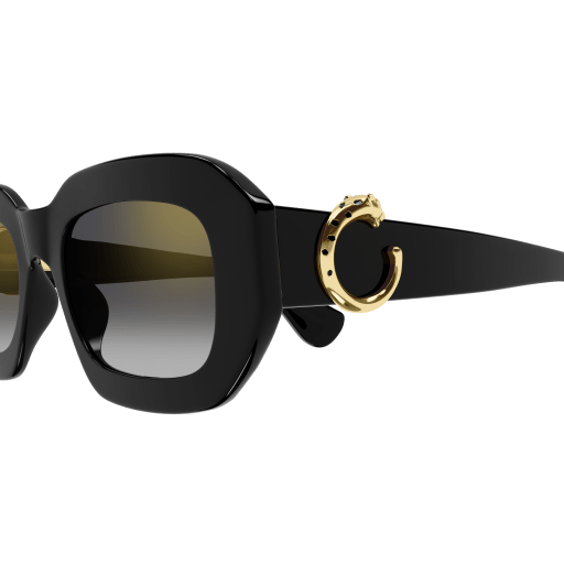 Cartier CT0546S 001 52